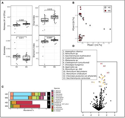 Proinflammatory mucosal-associated invariant CD8+ T cells react to gut flora yeasts and infiltrate multiple sclerosis brain